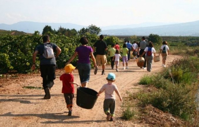 harvest with the little ones 